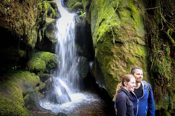 Cloud Forest & Waterfalls Half-Day Hike - Waterfalls, springs, and the three-hour hike