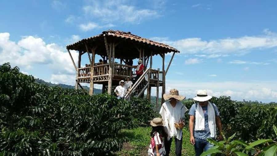 Cocoa and Coffee Farm Tours from Pereira or Armenia - Booking flexibility and timing