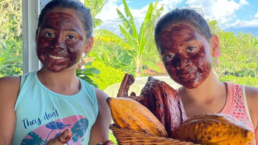 Cocoa and Coffee Farm Tours from Pereira or Armenia - The coffee estate: following the bean from harvest to cup