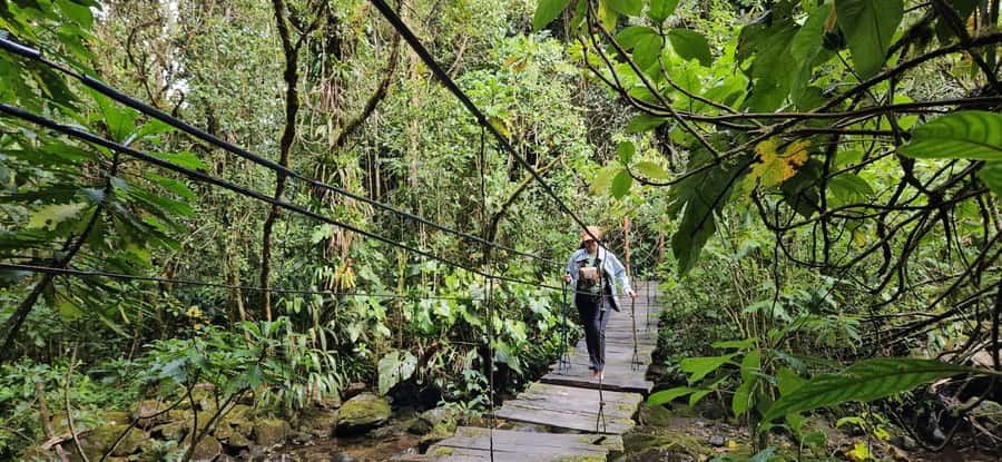 Cocora: trek to the hummingbirds sanctuary - Starting in Salento and heading toward Cocora