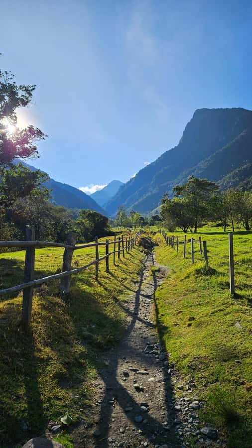 Cocora: trek to the hummingbirds sanctuary - What the $125 price really covers