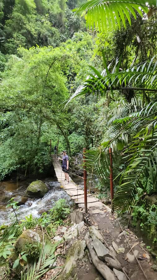Cocora: trek to the hummingbirds sanctuary - Who will enjoy this Cocora Valley hike?