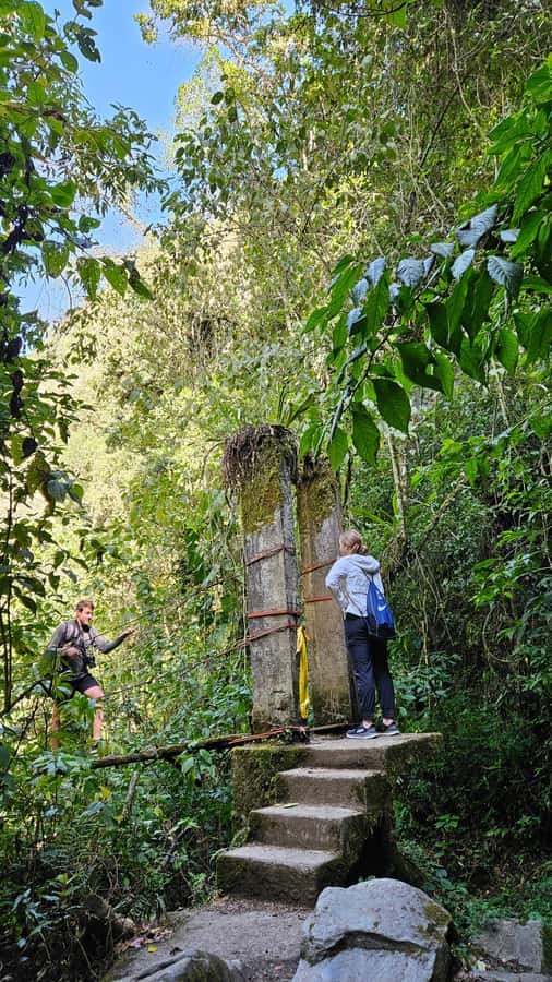 Cocora: trek to the hummingbirds sanctuary - Booking details worth checking