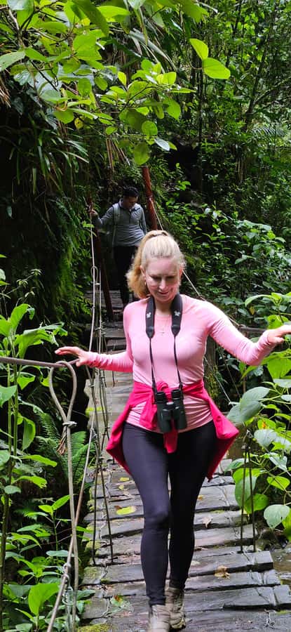 Cocora: trek to the hummingbirds sanctuary - From open grasslands into the cloud forest