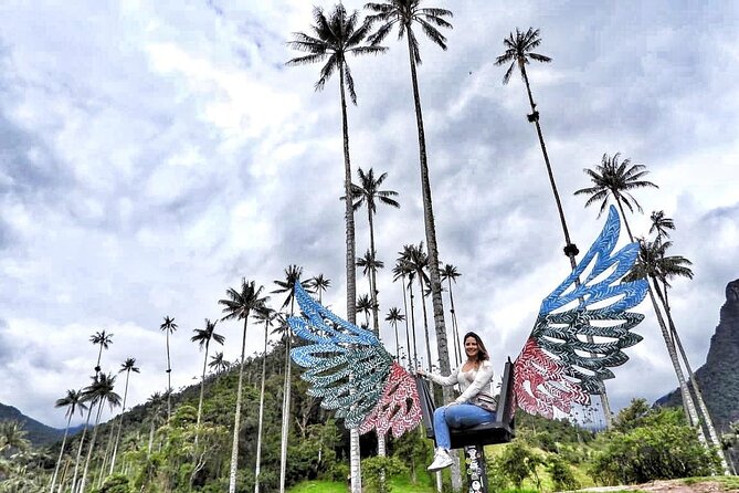 Cocora Valley and Salento Hike Tour - What the Cocora hike is really like