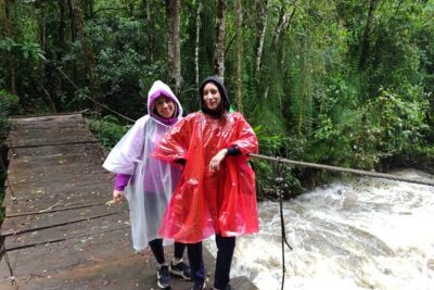 Cocora Valley and Salento Hike Tour