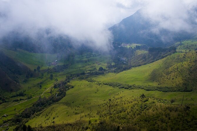 Cocora Valley and Salento Hike Tour - What the private format changes