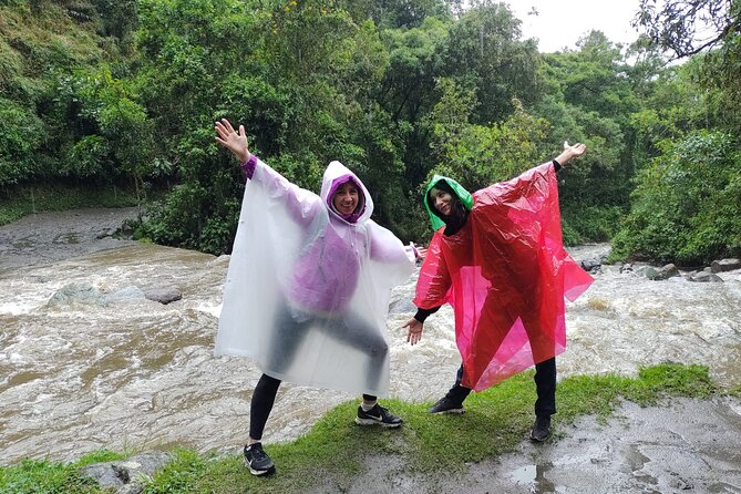 Cocora Valley and Salento Hike Tour - Is $99 a fair price?