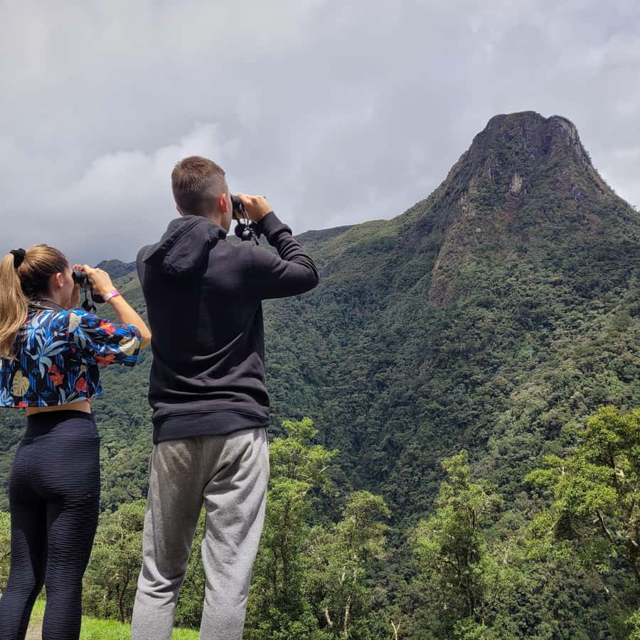 Cocora Valley: Route of the Hummingbirds + breakfast & lunch - Why this Cocora route feels different