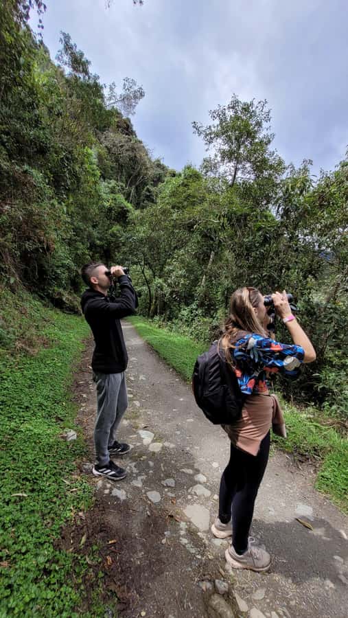 Cocora Valley: Route of the Hummingbirds + breakfast & lunch - Seven kilometers beside the river