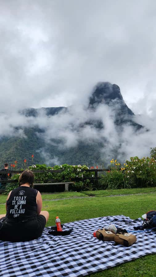 Cocora Valley: Route of the Hummingbirds + breakfast & lunch - The hummingbird house at Acaime