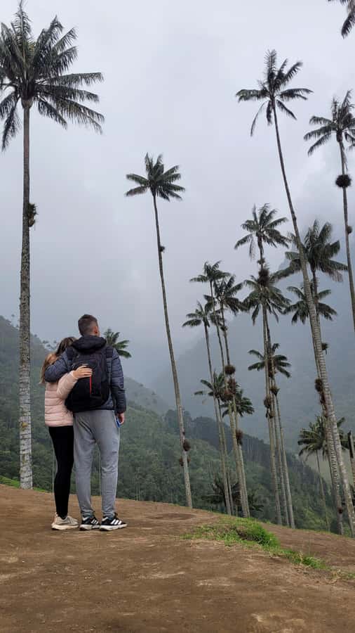 Cocora Valley: Route of the Hummingbirds + breakfast & lunch - The climb to the mountaintop picnic
