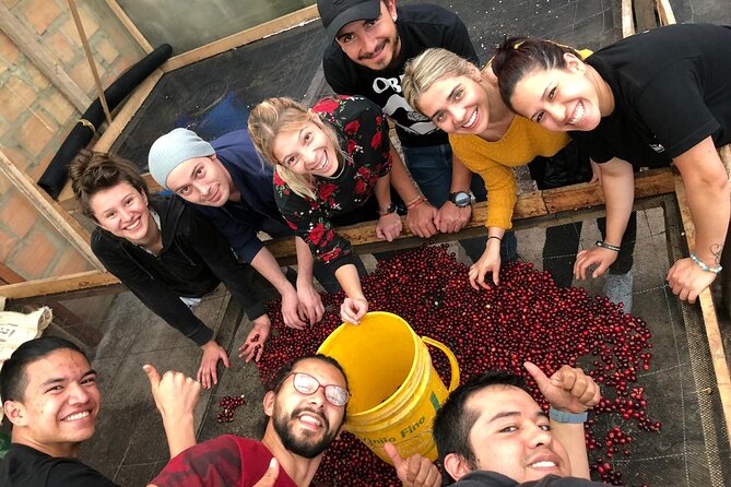 Cocora Valley, Salento and Coffee Farm Day Tour - Four things to know before you book