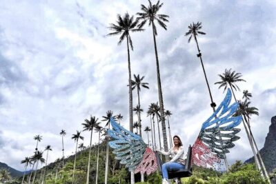 Cocora Valley, Salento and Coffee Farm Day Tour