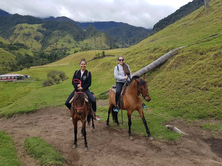 Cocora Valley: Salento & Private Horseback Riding Tour - Why this private Salento and Cocora Valley day works