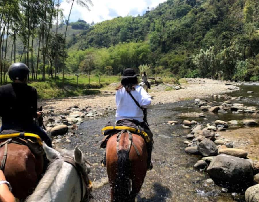 Cocora Valley: Salento & Private Horseback Riding Tour - Salento on horseback, with coffee country underfoot