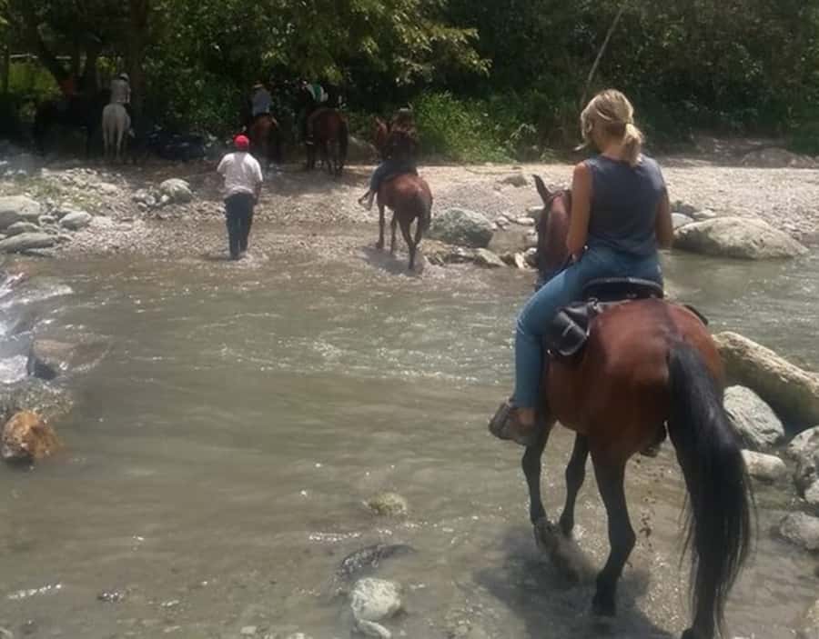 Cocora Valley: Salento & Private Horseback Riding Tour - What the $171 price really covers