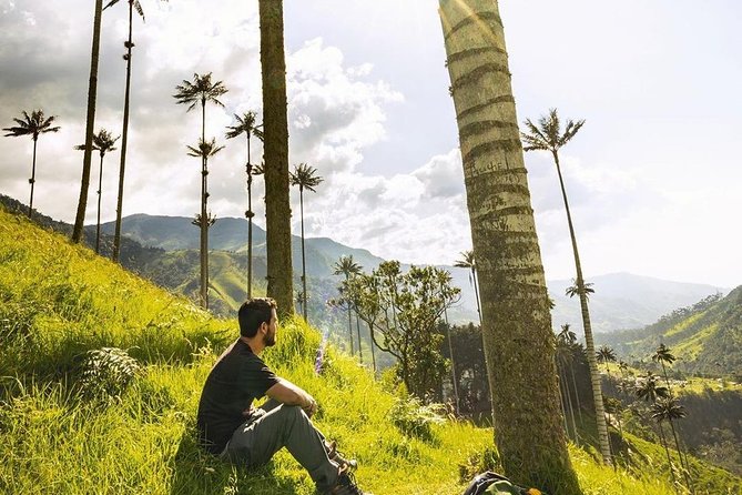 Cocora Valley Tour and Santa Rita Waterfall - Why this Salento day trip makes sense