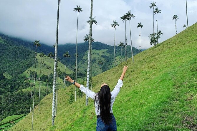 Cocora Valley Tour and Santa Rita Waterfall - A filling Salento lunch