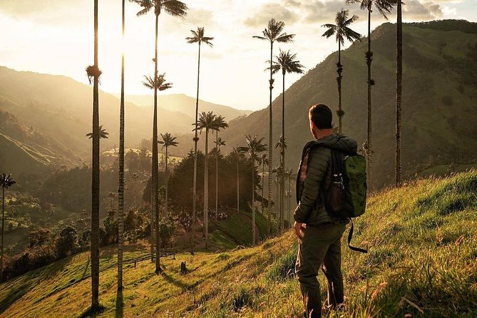 Cocora Valley Tour and Santa Rita Waterfall - Is $180 a fair price?
