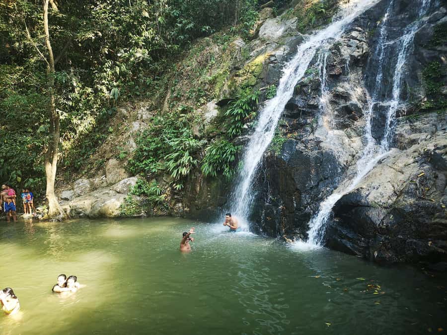 Coffee and Cocoa Tour in Minca! - From Santa Marta to Minca at 600 Meters