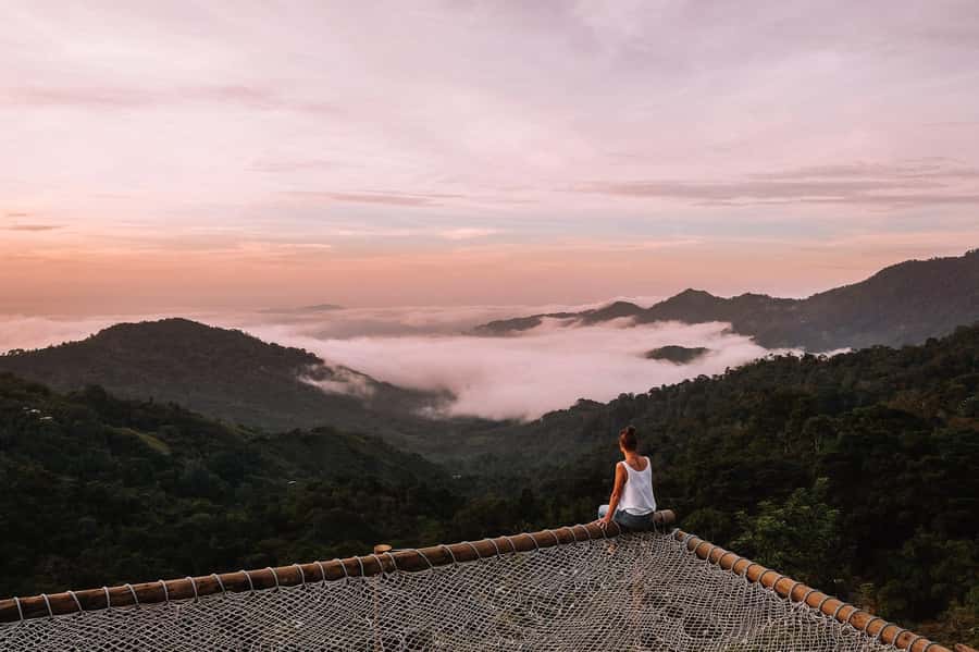 Coffee and Cocoa Tour in Minca! - Forest Trails, Waterfalls, Pools, and Natural Slides