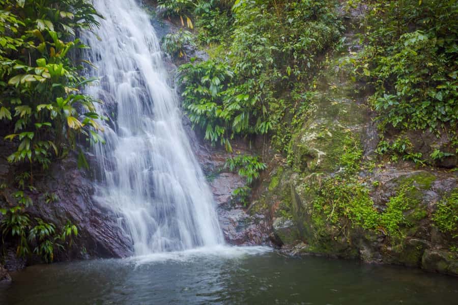 Coffee and Cocoa Tour in Minca! - Is $76 a Fair Price?