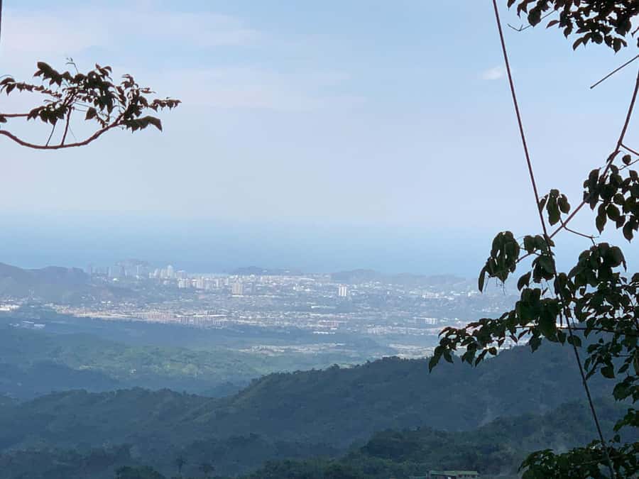 Coffee and Cocoa Tour in Minca! - Who Will Enjoy This Minca Day Trip?