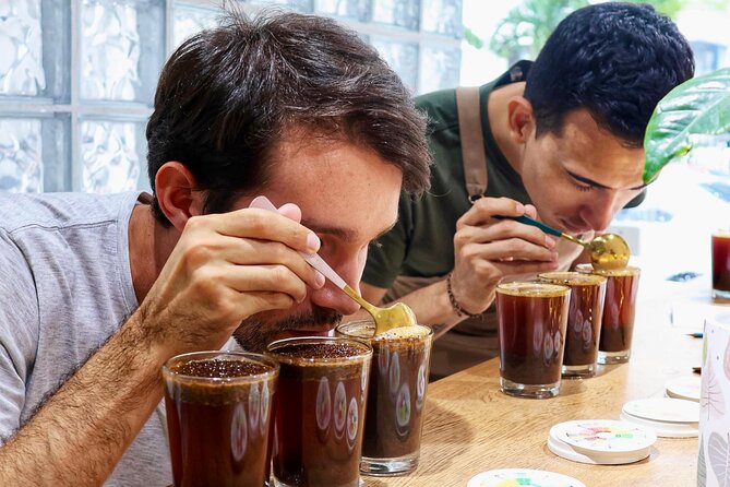 Coffee beyond the drink: master's degree in Colombian coffee - Key points at a glance