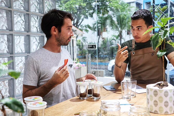 Coffee beyond the drink: master's degree in Colombian coffee - Practical details before you book