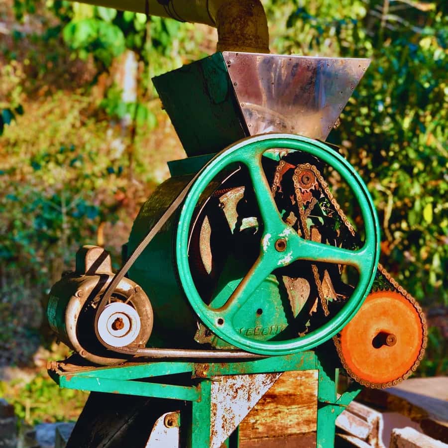 Coffee, Cocoa and Trekking Tour in Minca: Nature, Crops and Production - Booking Advice and Timing