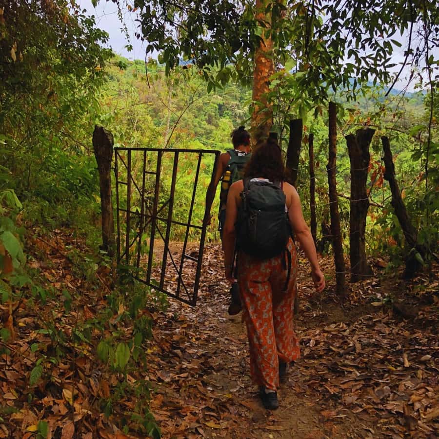 Coffee, Cocoa and Trekking Tour in Minca: Nature, Crops and Production - Three Hours Around Minca’s Natural Trails