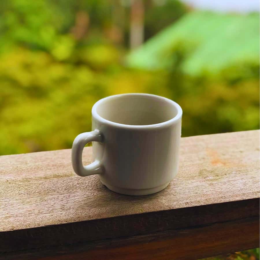 Coffee, Cocoa and Trekking Tour in Minca: Nature, Crops and Production - Guides Who Add More Than Directions