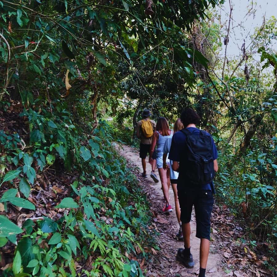 Coffee, Cocoa and Trekking Tour in Minca: Nature, Crops and Production - What $41 Includes and What It Does Not