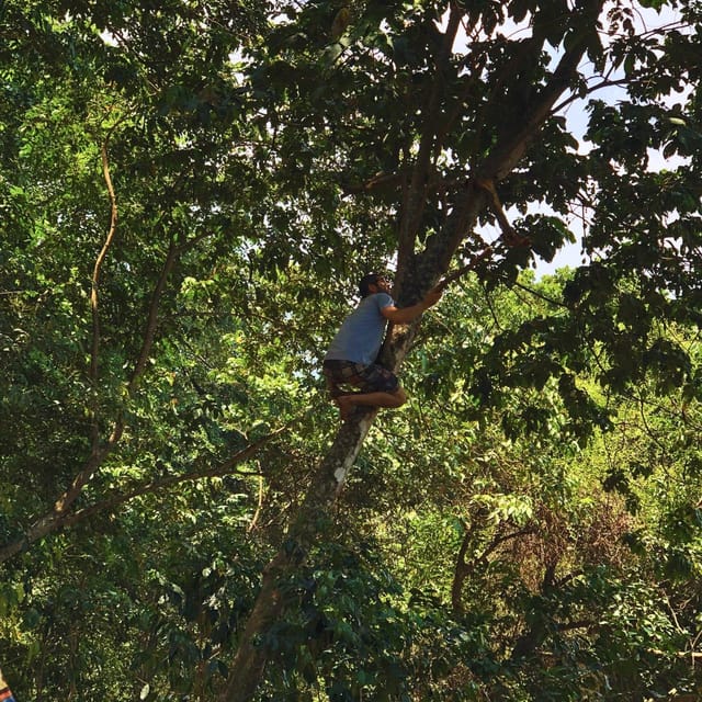 Coffee, Cocoa and Trekking Tour in Minca: Nature, Crops and Production - Who Should Book This Minca Experience?