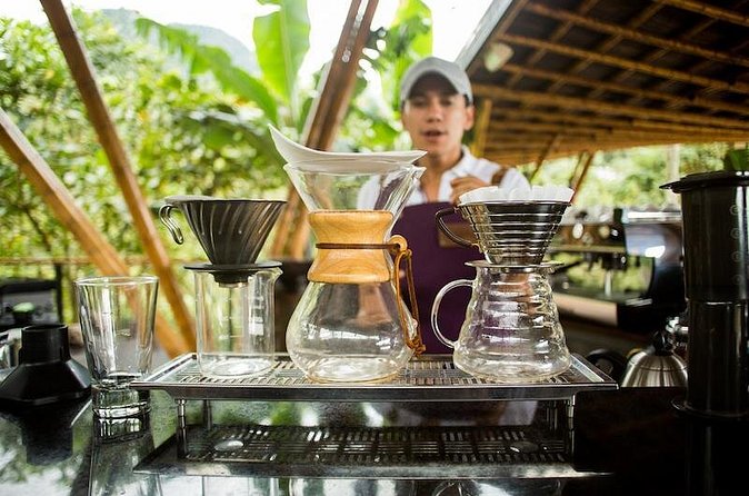 Coffee Experience at La Palma & El Tucan - Group size, fitness, and practical planning