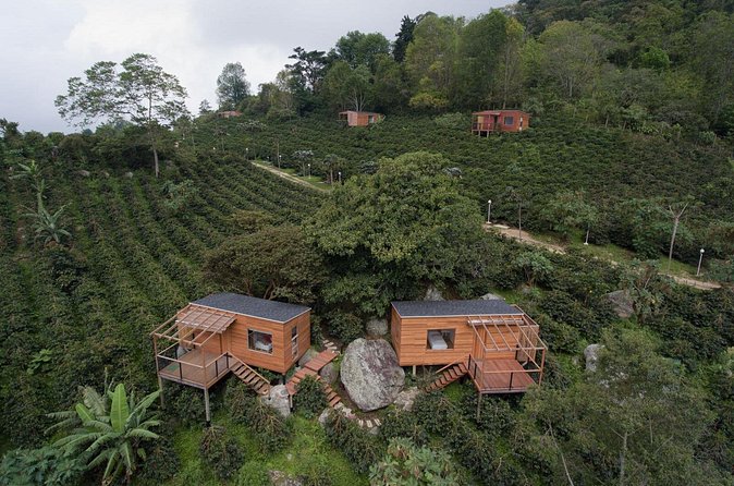 Coffee Experience at La Palma & El Tucan - Who will enjoy this farm day most?