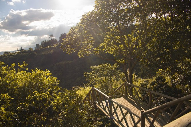Coffee Experience from bean to cup - Why this coffee farm makes sense from Medellín