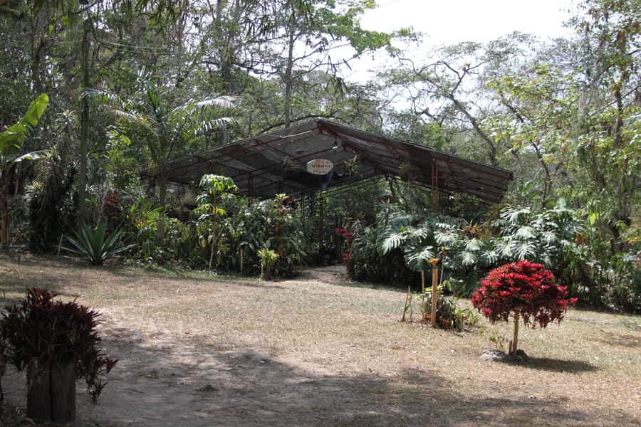 Coffee Experience: Hacienda Coloma Tour from Bogotá - A private group changes the feel
