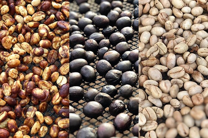 Coffee Farm and Salento Walking Tour - Key points to know before you book