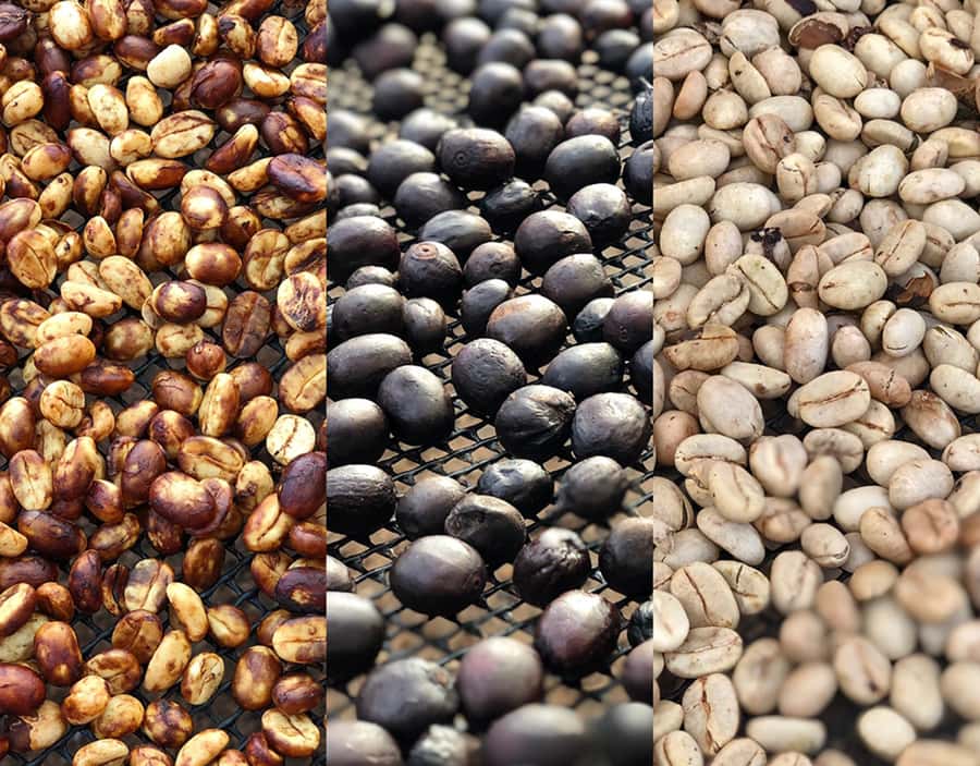 Coffee Farm and Salento Walking Tour - What $93 buys you