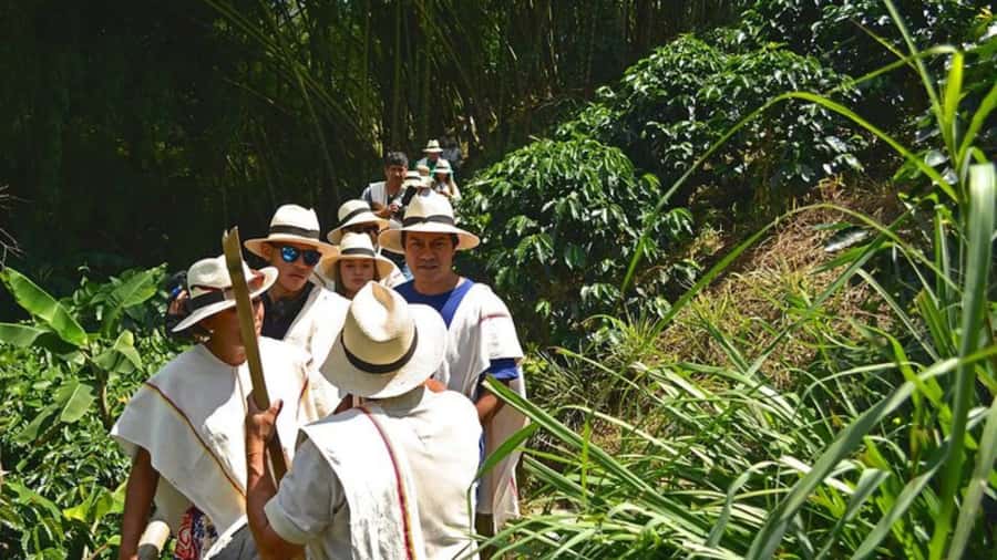 Coffee Farm and Santa Rosa Hot Springs from Pereira/Armenia - Why this pairing works in one day