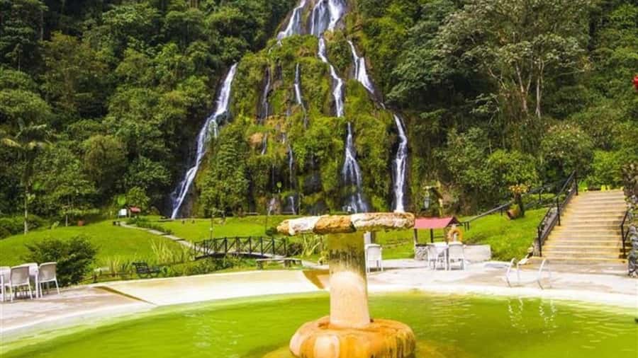 Coffee Farm and Santa Rosa Hot Springs from Pereira/Armenia - What to expect at the coffee farm