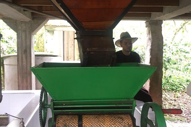 Coffee Farm Experience Private Day Tour - Lunch, Local Food, and Dietary Needs