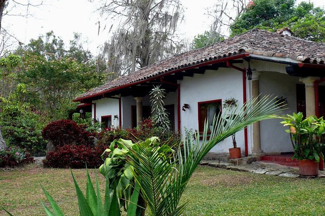 Coffee Farm Experience Private Day Tour - What the Private Format Adds
