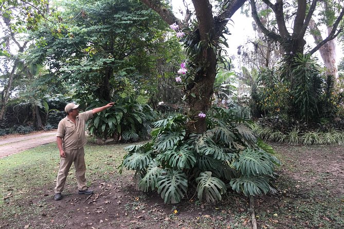 Coffee Farm Experience Private Day Tour - Is $110 Per Person Good Value?