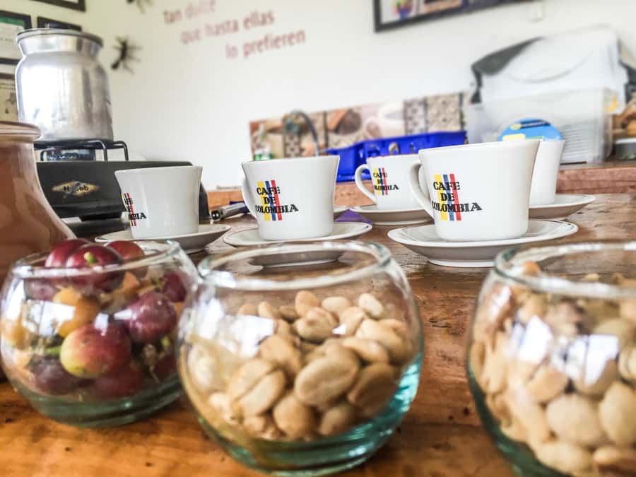Coffee Farm Tour at Finca El Ocaso from Salento - Key Things to Know Before You Go