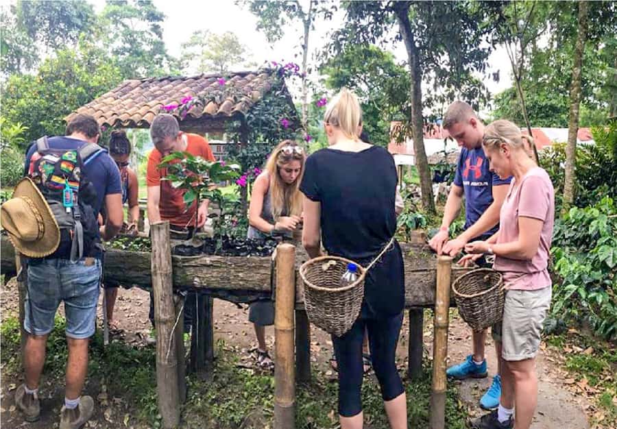Coffee Farm Tour at Finca El Ocaso from Salento - How Colombian Coffee Moves From Plant to Cup