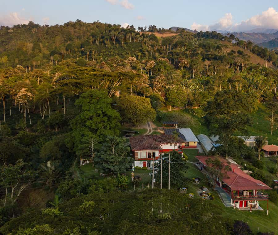 Coffee Farm Tour at Finca El Ocaso from Salento - The Guided Coffee Tasting
