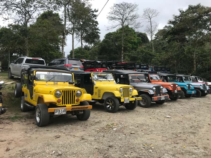 Coffee Farm Tour at Finca El Ocaso from Salento - Small Groups and Guide Languages